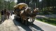 Thumbs/tn_TrainingslagerEisenberg2011 (186).jpg